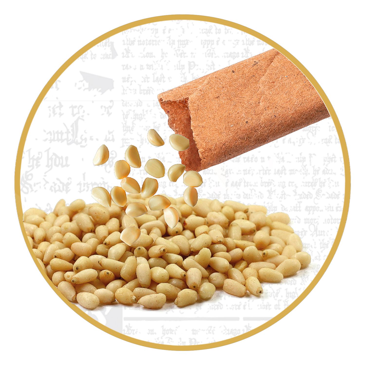 Clementoni Harry Potter Terrarium